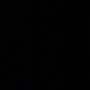 Meet your Posher, Ella